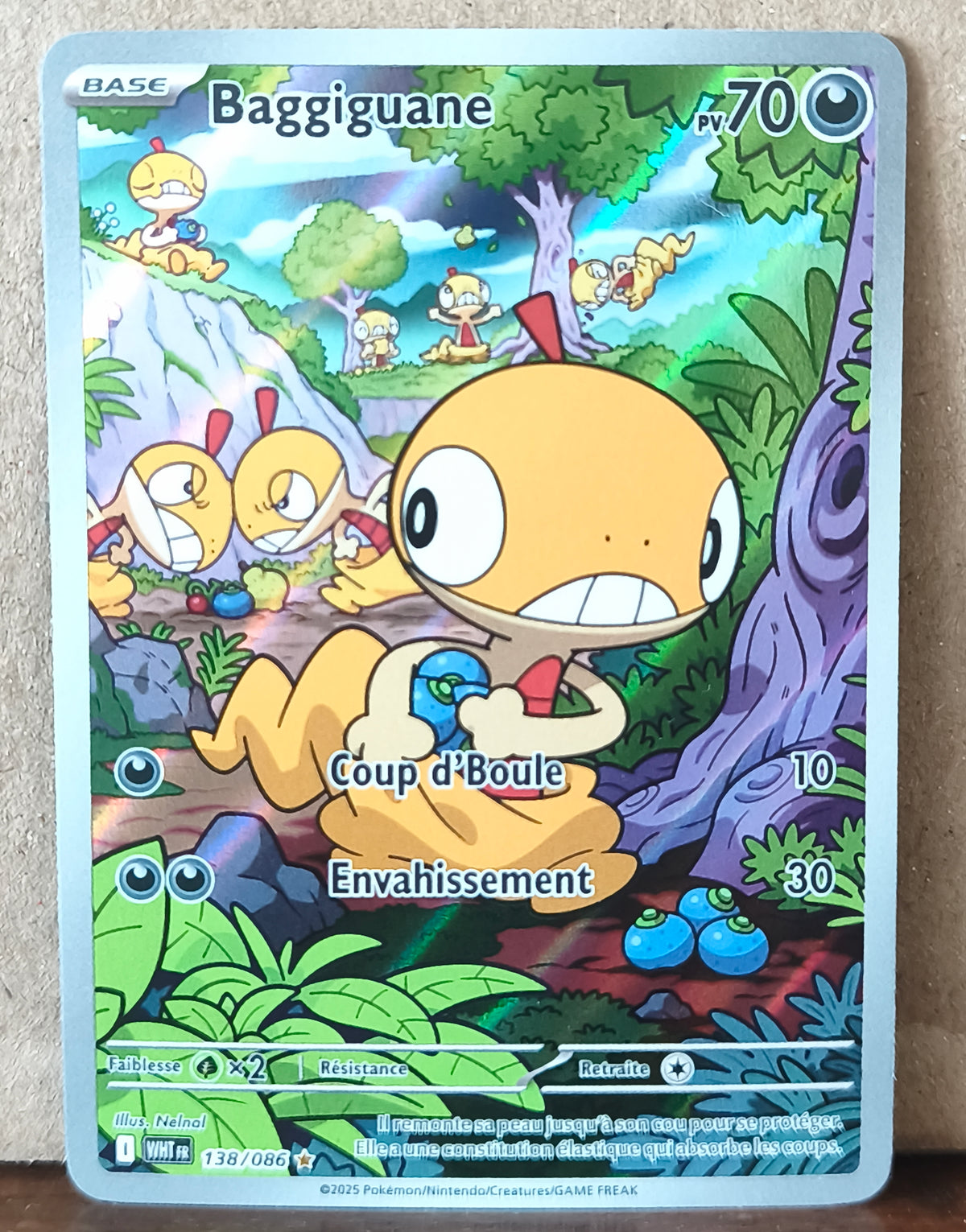 Carte Pokémon Baggiguane 138/086 Illustration Rare Flamme Blanche, recto de l'exemplaire vendu